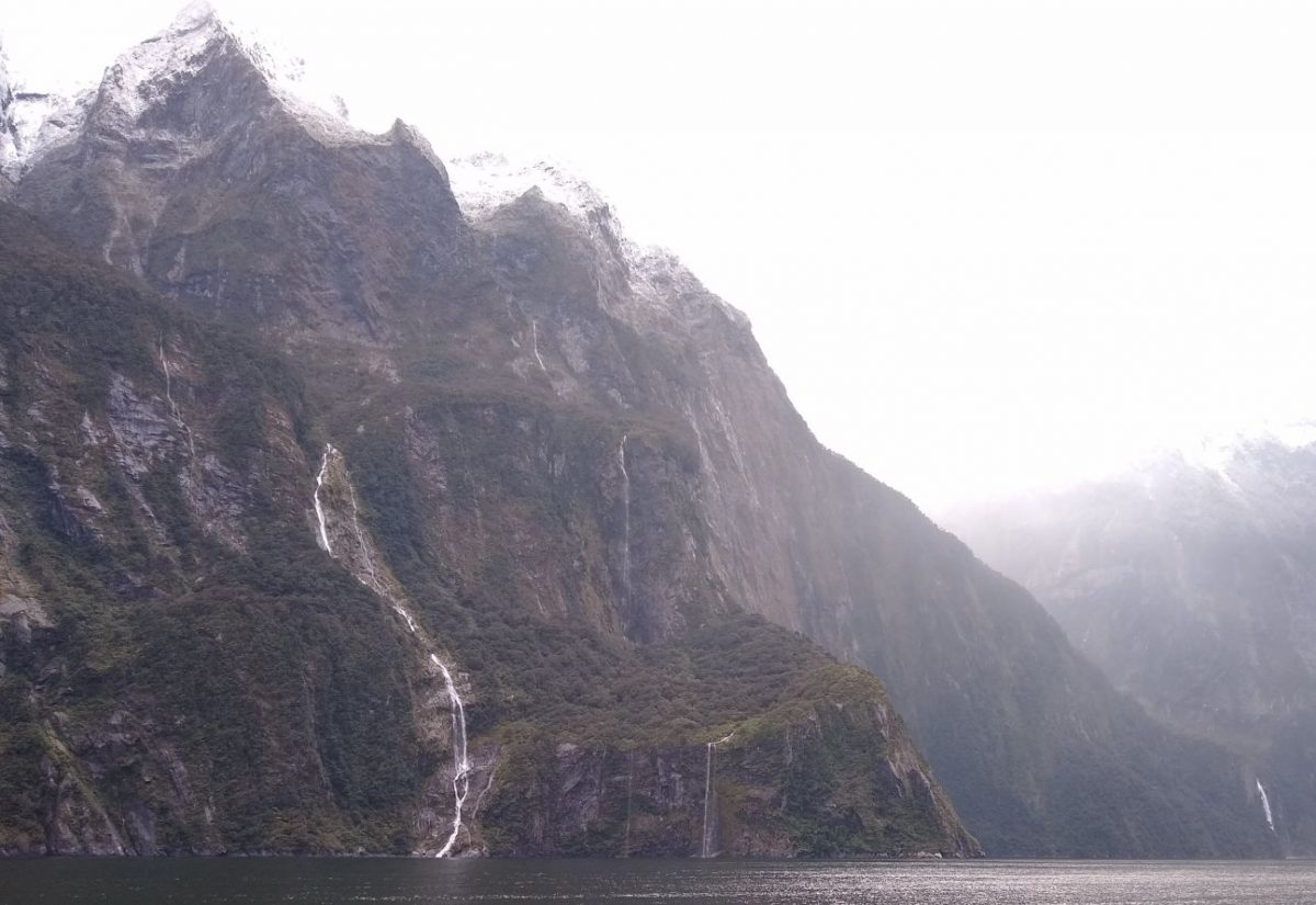 Fiordland, my new favorite word